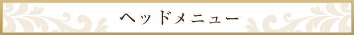 ヘッドメニュー