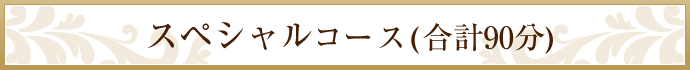 スペシャルコース