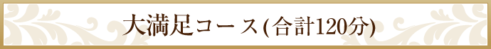 大満足コース